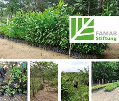 FAMAB Stiftung